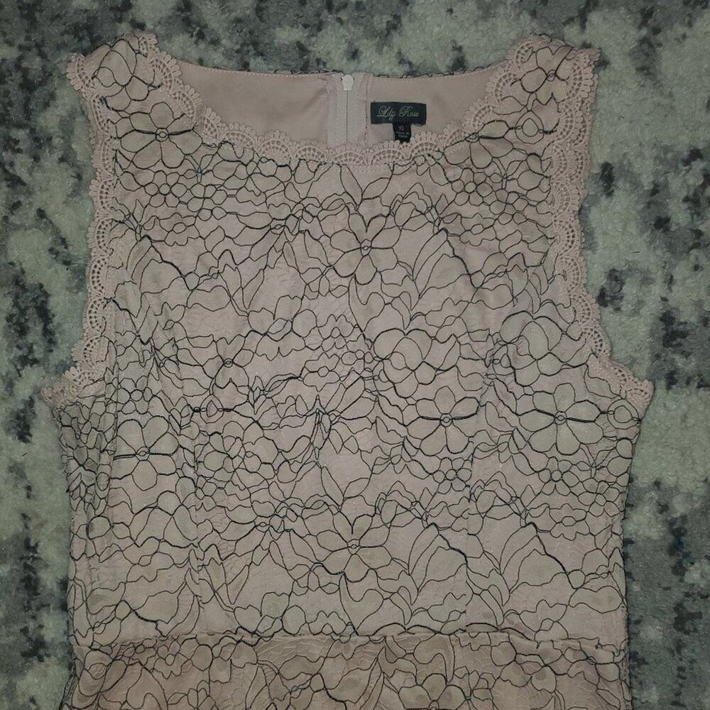 Lily Rose || Soft Pink Sleeveless Dress || XL